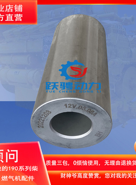 BH驰动G6190ZLC船机12V.05.08A C8190ZLC装机活塞销通用胜动190