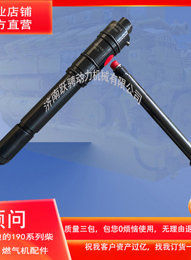 济柴3000型 601.16.00 a12v190pzl-3/o 216000026 喷油器部件总成