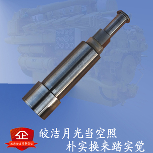 17mm左旋柱塞 6190济柴P9喷油泵266L.12PA.10.20柱塞偶件分部件