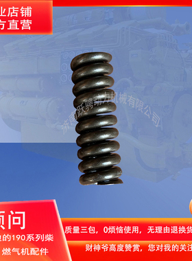 济南A12V190ZLC 1200KW 喷油器部件调压弹簧601.16.06配济柴L6190