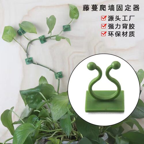 绿萝爬墙固定器藤蔓植物固定夹子免打孔爬墙藤蔓固定夹攀爬挂钩