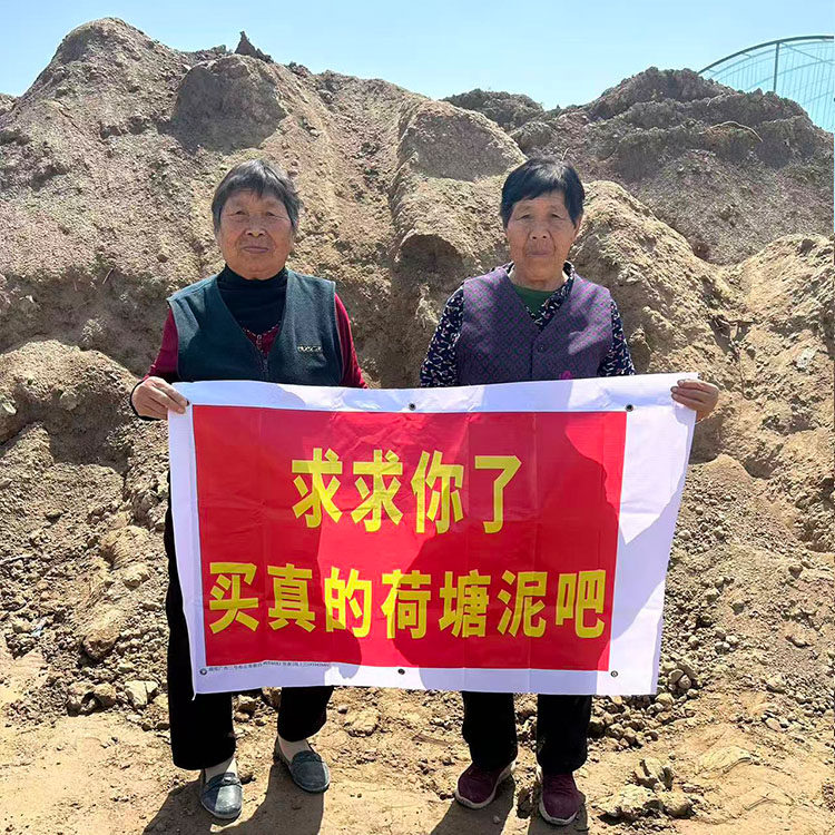 天然荷塘泥碗莲专用土睡莲铜钱草水生植物营养土荷花泥生态养龟缸