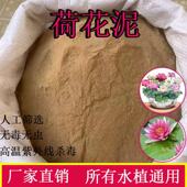 泥土荷花纯正天然荷塘泥碗莲泥土铜钱草专用水生植物河淤泥营养土