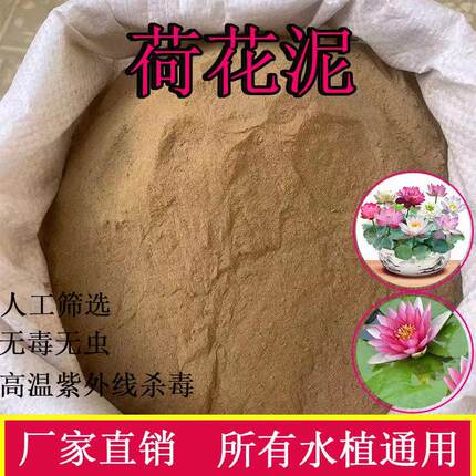 泥土荷花纯正天然荷塘泥碗莲泥土铜钱草专用水生植物河淤泥营养土