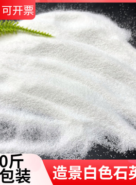 50斤白沙子石英砂细沙白色砂子酒店垃圾桶烟灰缸灭烟天然颗粒造景