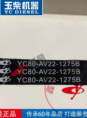 玉柴4102/4105发动机1DQ000水泵皮带YC80-AV22-1275B客货车农机