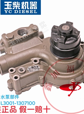 玉柴原厂YC6L发动机L3001-1307100E水泵部件客货车工程机械原装正
