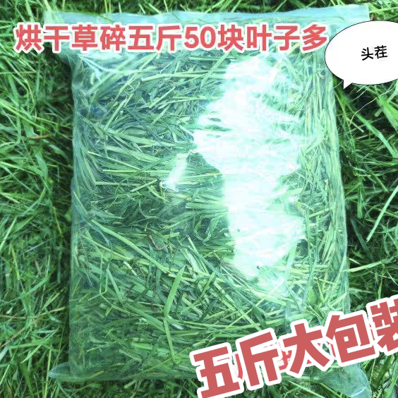 22新年头茬提摩西草碎草段兔子猪