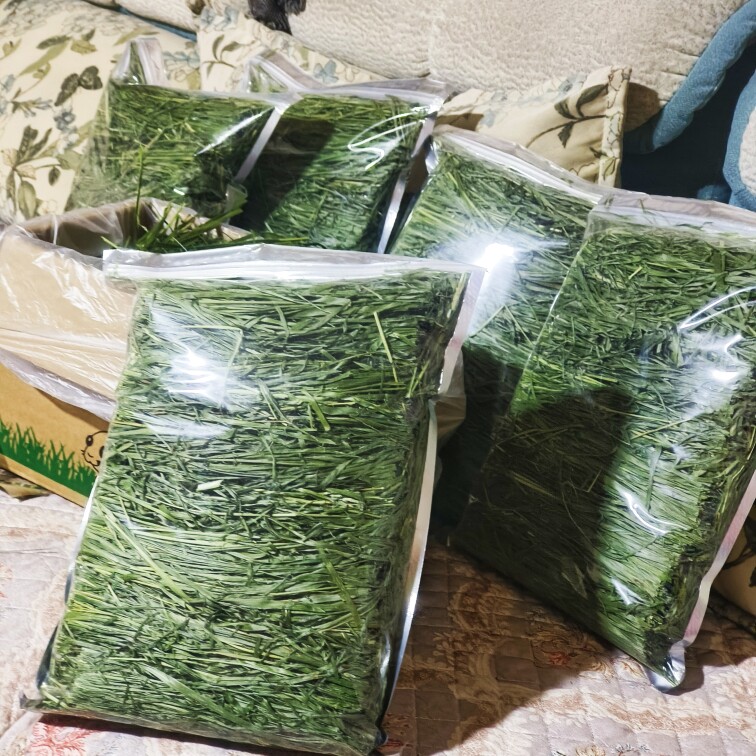 《团购五斤专拍》26年新烘干提摩西草段兔子龙猫猪羊驼草包邮
