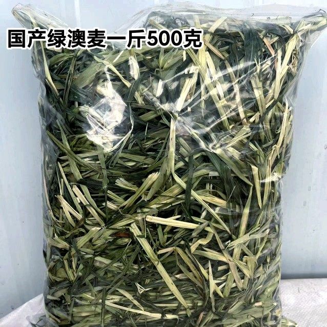 新国产绿澳麦兔子龙猫豚鼠荷兰猪兔兔干草