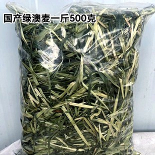 新国产绿澳麦兔子龙猫豚鼠荷兰猪牧草饲料500克包邮