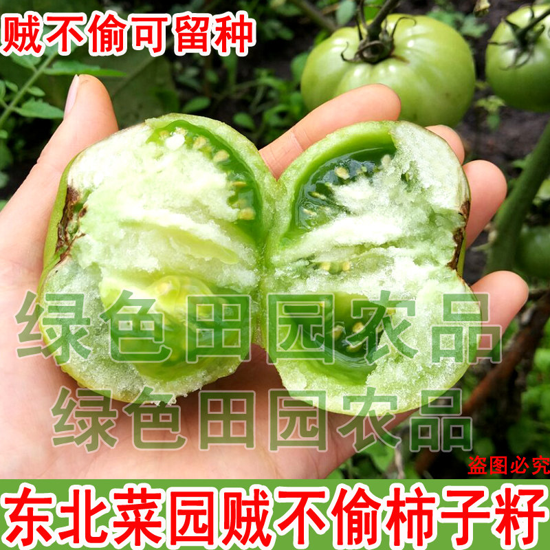 东北农家菜园贼不偷大番茄籽 散装精选 老品绿柿子籽2克,粮油调味/速食/干货/烘焙,特色米/面粉/杂粮,淘宝优惠券,粉丝福利购,淘宝优惠卷