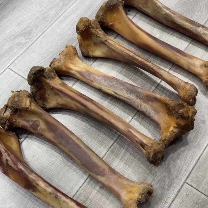 天然玉化骆驼骨头大腿骨棒小腿关节骨蝌蚪纹文玩练手把玩件泡酒料