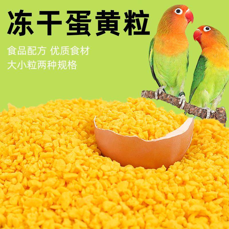 鹦鹉冻干蛋黄颗粒鸟粮玄风小太阳虎皮鹦鹉鸟类训练小零食奖励用品,宠物/宠物食品及用品,鸟食,淘宝优惠券,粉丝福利购,淘宝优惠卷