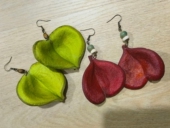 枝枝叶子同款 进口干果耳环天然植物爱心壳小心壳果实耳环改耳夹