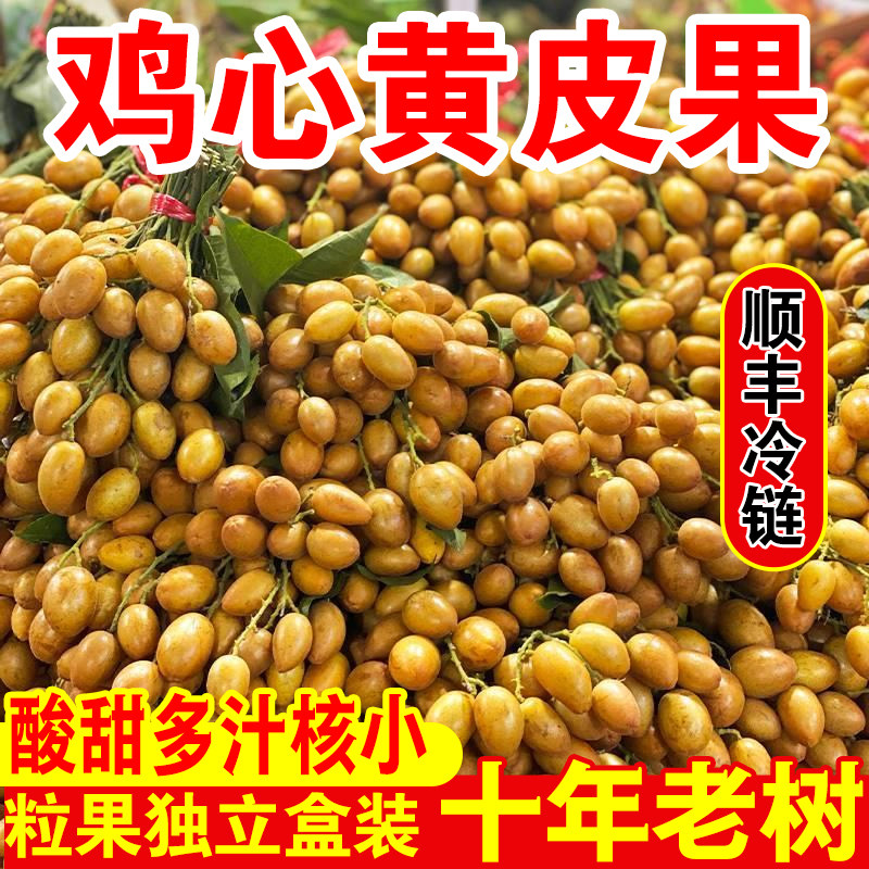 【顺丰冷链】广东高州鸡心黄皮果5斤大果孕妇水果酸甜应季水果