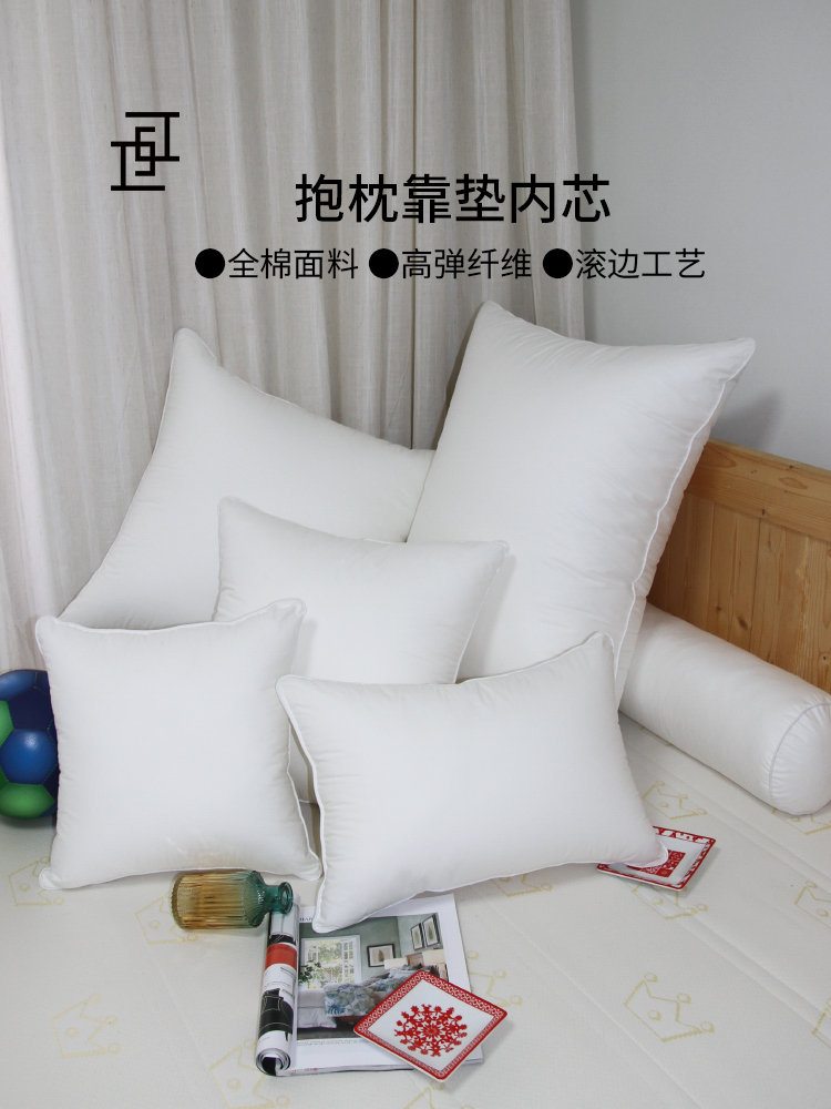 沙发靠垫内芯30抱枕芯45靠背枕芯