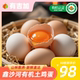 每日新鲜蛋液分明 散养走地鸡五谷喂养 甄选 有机认证土鸡蛋50枚
