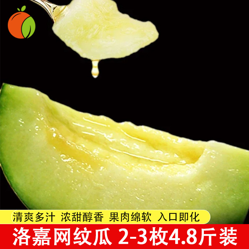 222项谱尼检测 入口即化的香甜 生态种植山东海阳网纹瓜 新鲜水果