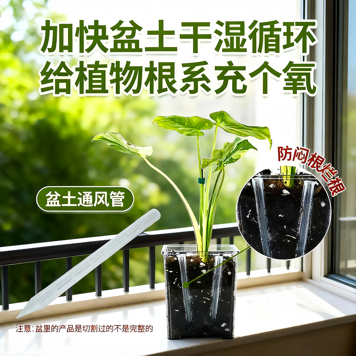 盆土通风管透气孔防闷根烂根透明