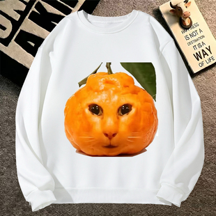 丑橘表情包卫衣男外套女世界上倒数可爱的猫丑橘不丑猎奇衣服