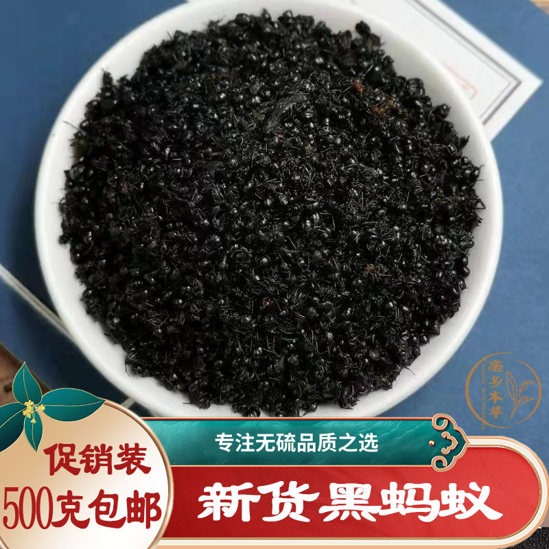 广西黑蚂蚁干正品大山蚁拟黑多刺蚁干关节痛中药材泡酒料黑蚂蚁粉