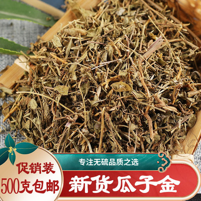 野外生中药材瓜子金 瓜子草 惊风草 辰砂草 勒马回一斤500克包邮