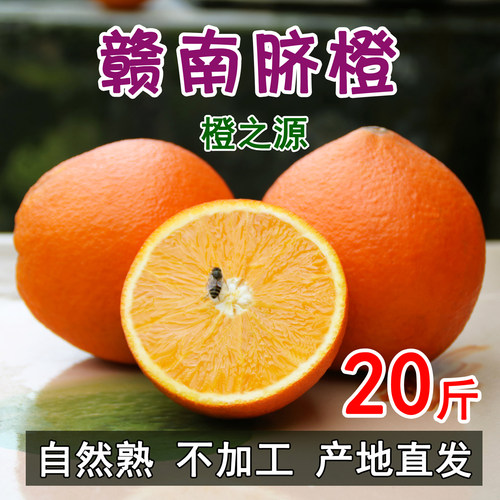 正宗寻乌多汁赣南脐橙20斤甜橙子