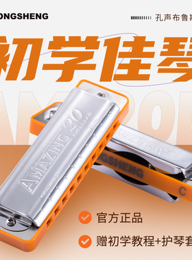 孔声布鲁斯口琴十孔口琴成人蓝调口琴10孔初学者推荐可改paddy