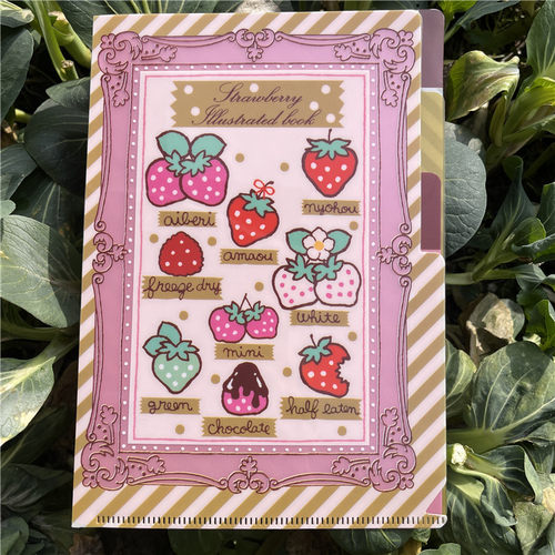 swimmer可爱小兔/蝴蝶结小熊/游