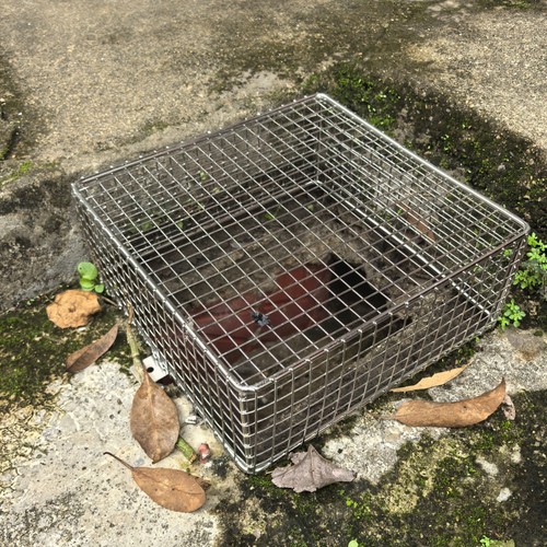不锈钢方形网格排水沟槽盖板防堵