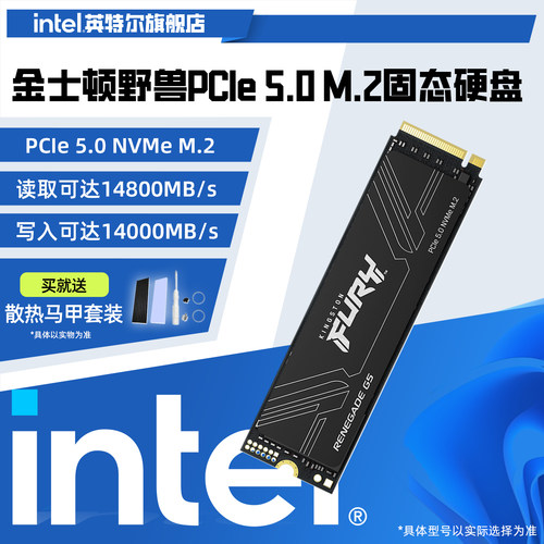 Kingston金士顿FURY野兽PCIE5.0固态硬盘1T/2TBM.2笔记本台式电脑