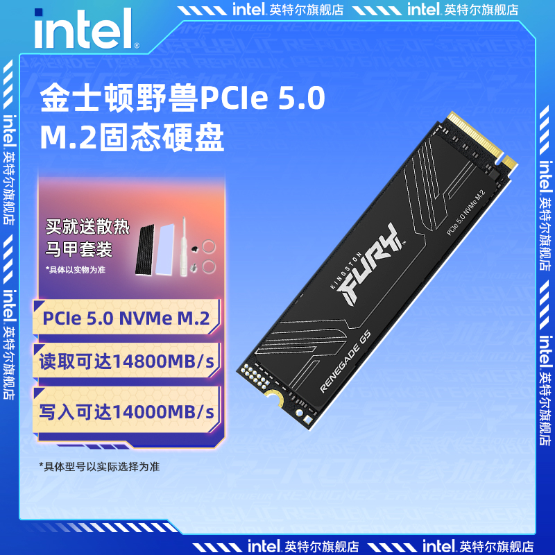 Kingston金士顿FURY野兽PCIE5.0固态硬盘1T/2