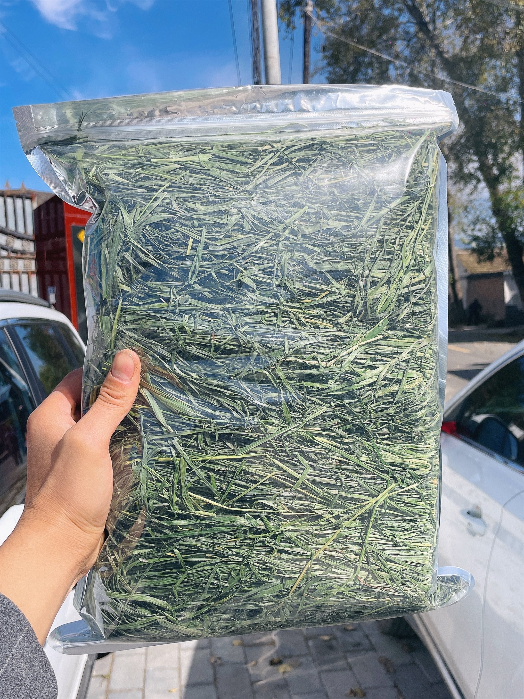 23年烘干提摩西北提兔子荷兰猪兔兔干草