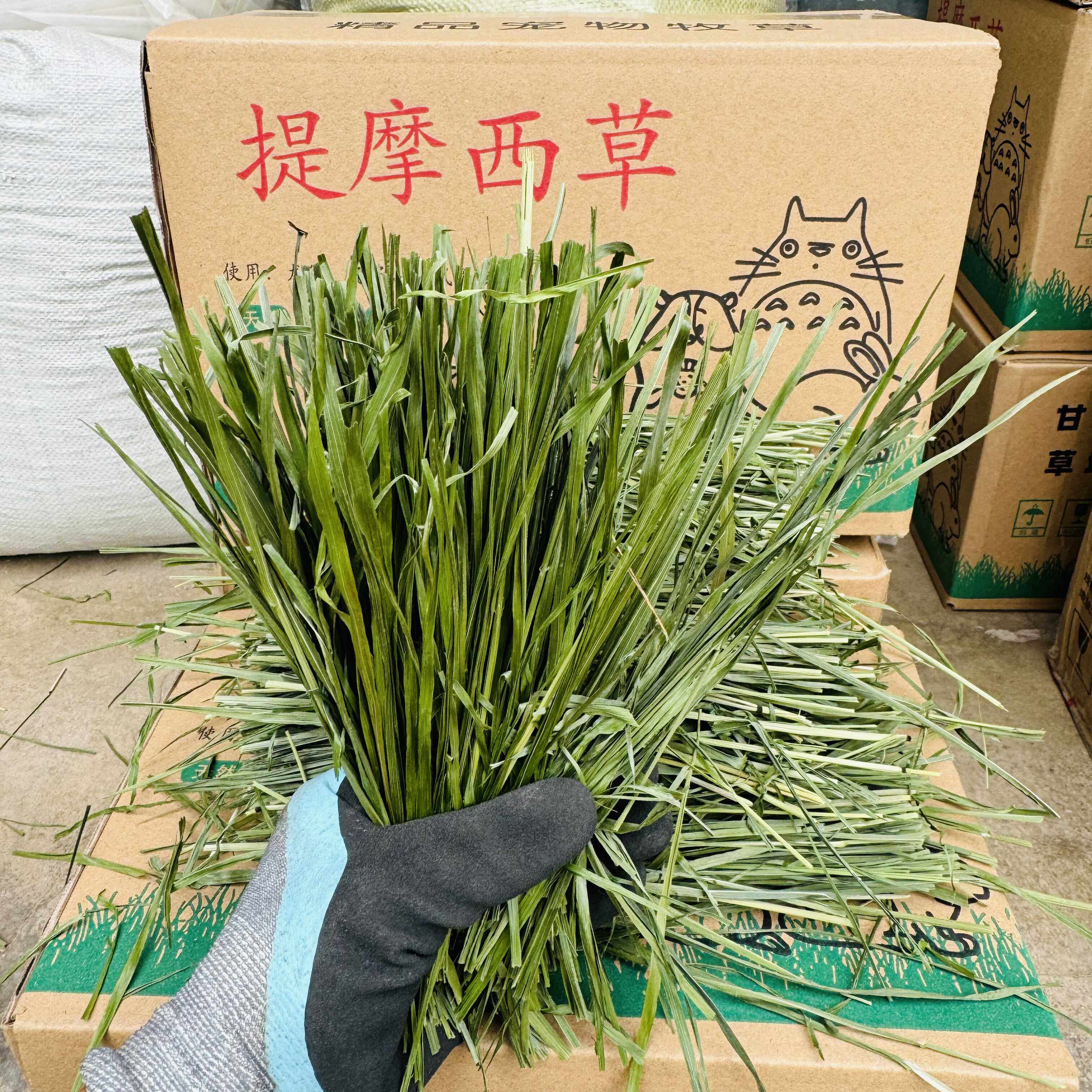 26烘干提摩西草大包草段兔子主兔兔干草