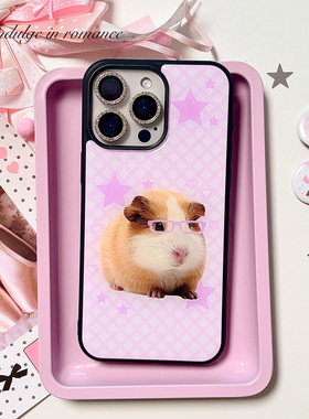 古早少女日系格纹眼镜豚鼠可爱星星复古iphone1716promax亚克力壳苹果1614pro手机壳