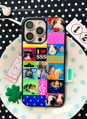古早拼接豚鼠鼠萌物可爱趣味原创复古iPhone17promax滴胶全包iphone1716promax亚克力壳苹果1614pro手机壳