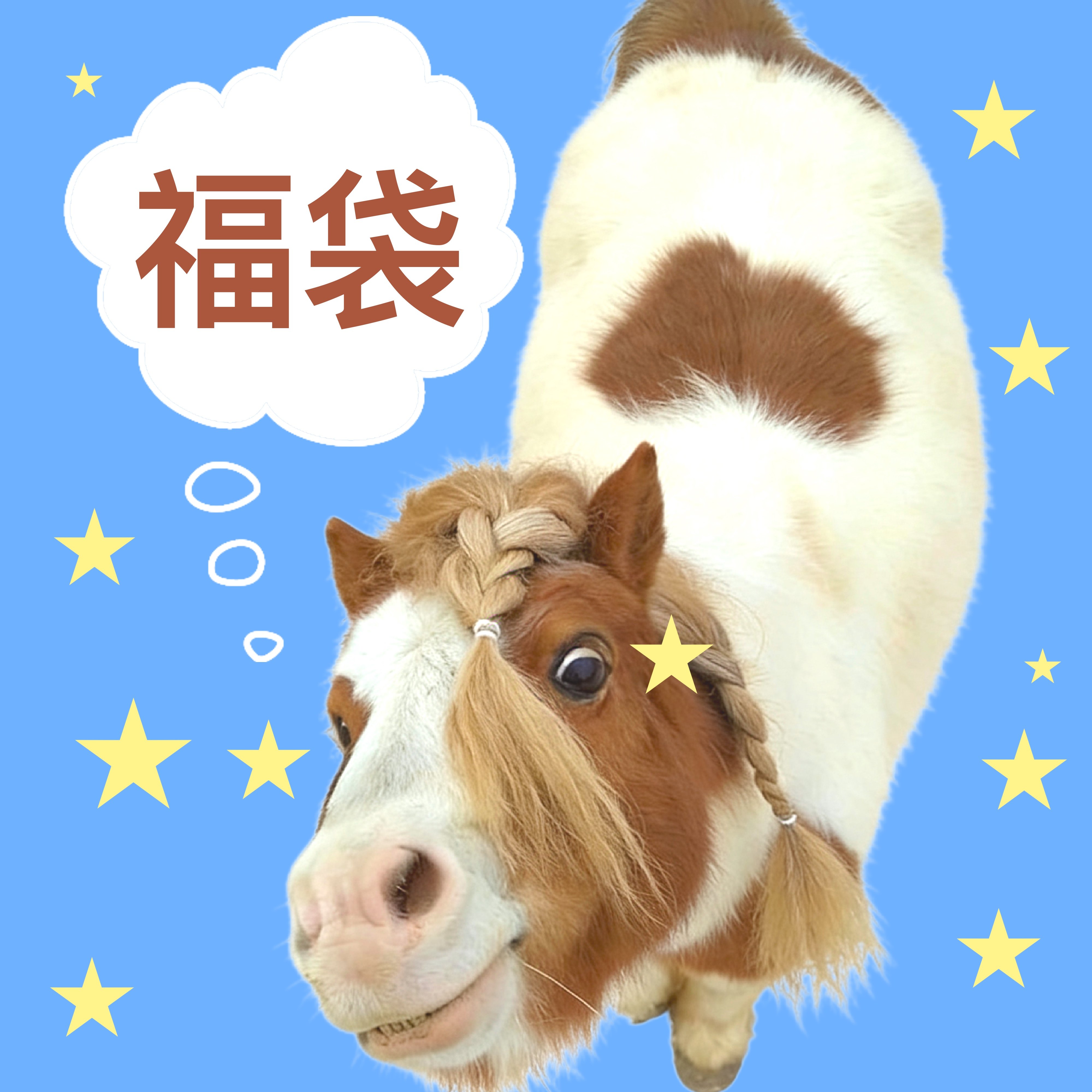 沉迷浪漫福利随机手机壳福袋 17promax/17/13/16proMax等随机盲盒,个性定制/设计服务/DIY,手机壳/保护套定制,淘宝优惠券,粉丝福利购,淘宝优惠卷