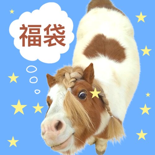 沉迷浪漫福利随机手机壳福袋