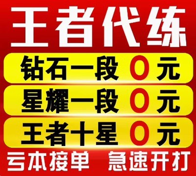 王者荣耀代练代打排位巅峰赛上分玩刷英雄战力送金标省标小国标