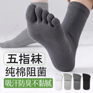 五指袜子男款春秋季纯棉中筒袜抗菌防臭吸汗运动无骨四季分趾袜子