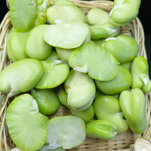 蚕豆米 云南特产蔬菜现摘去皮绿心嫩青胡豆米蚕豆新鲜罗汉豆角仁