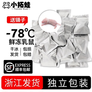 冷冻乳鼠爬宠蜘蛛守宫食物小白鼠铝箔冷冻鼠无菌红皮乳鼠喂蛇冻鼠