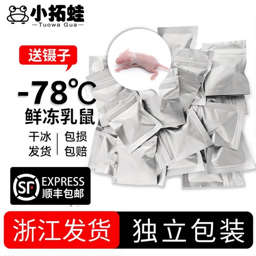 冷冻乳鼠爬宠蜘蛛守宫食物小白鼠铝箔冷冻鼠无菌红皮乳鼠喂蛇冻鼠