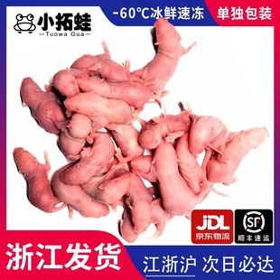 冷冻红皮乳鼠宠物蛇饲料喂猫龟树蛙冰冻粉白霜杭州包邮蜥蜴小白鼠