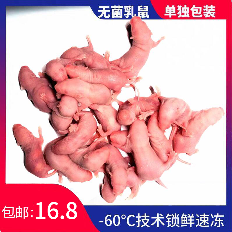 冷冻小白乳鼠宠物饲料喂蛇猫龟树蛙冰冻红皮粉霜包邮蜥蜴爬虫裸鼠怎么看?