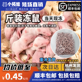 冷冻乳鼠顺丰 包邮 宠物蛇冰冻白霜蜥蜴小白鼠爬宠饲料幼崽鼠斤装