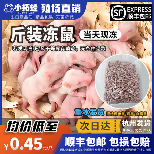 冷冻乳鼠顺丰包邮宠物蛇冰冻白霜蜥蜴小白鼠爬宠饲料幼崽鼠斤装