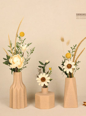 小摆件家居饰品摆设客厅展示柜家庭玄关电视柜桌面花瓶高级感软装