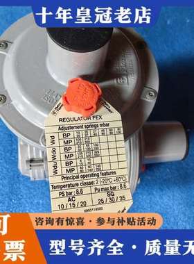 议价Pietro Fiorentini菲奥伦蒂尼调压阀可维修